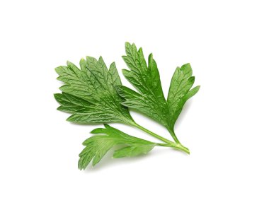 Beyaz arkaplanda taze maydanoz