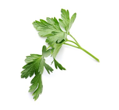 Beyaz arkaplanda taze maydanoz