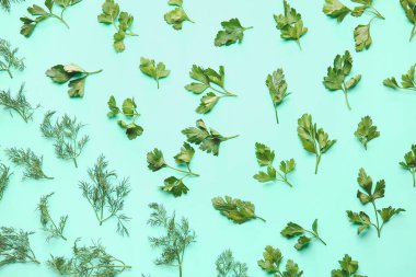 Renkli arkaplanda taze maydanoz ve dereotu