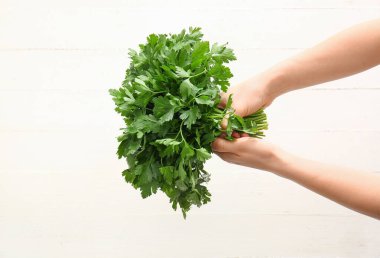 Beyaz arka planda taze maydanozlu eller