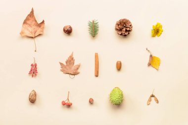 Açık arkaplanda güzel sonbahar kompozisyonu