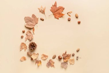 Açık arkaplanda güzel sonbahar kompozisyonu