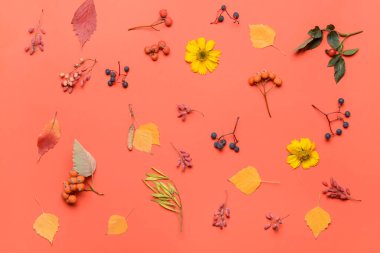 Renk arkaplanındaki güzel sonbahar kompozisyonu