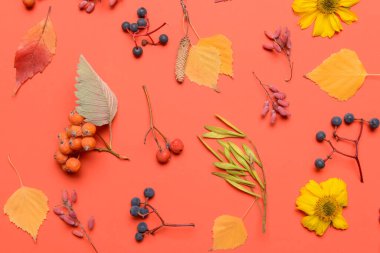 Renk arkaplanındaki güzel sonbahar kompozisyonu