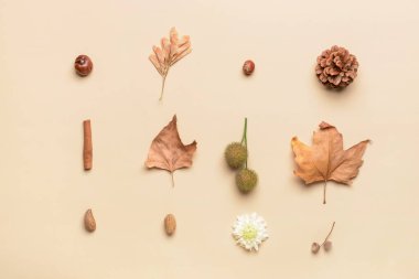 Açık arkaplanda güzel sonbahar kompozisyonu