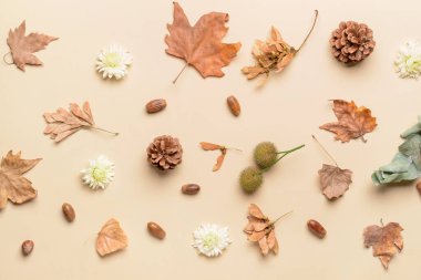 Açık arkaplanda güzel sonbahar kompozisyonu