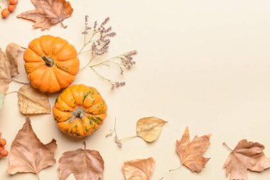 Açık arkaplanda güzel sonbahar kompozisyonu