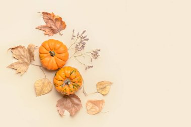 Açık arkaplanda güzel sonbahar kompozisyonu