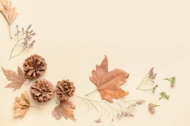 Açık arkaplanda güzel sonbahar kompozisyonu