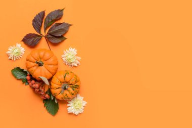 Renk arkaplanındaki güzel sonbahar kompozisyonu