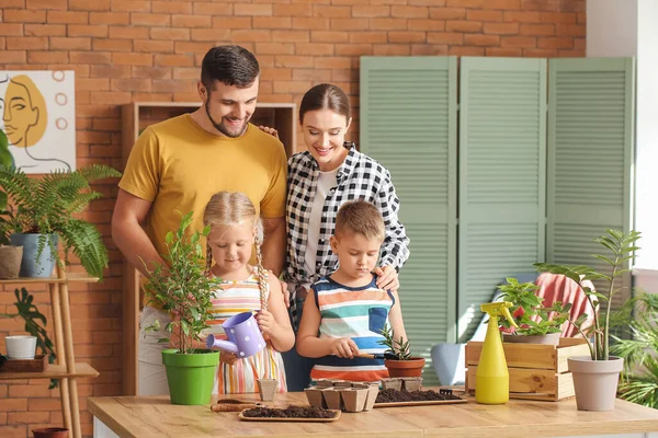 Young Family Setting Out Plants Home — Stock Photo, Image