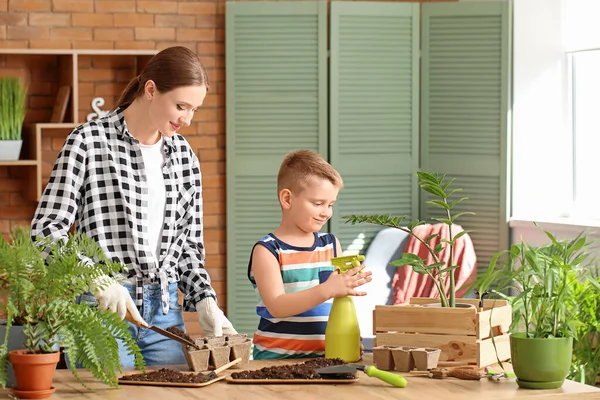 Young Mother Son Setting Out Plants Home — Stock Photo, Image