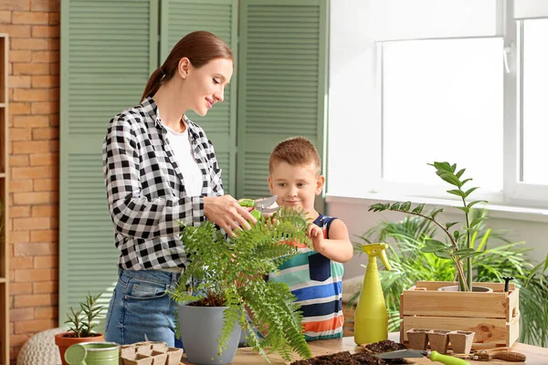 Young Mother Son Setting Out Plants Home — Stock Photo, Image