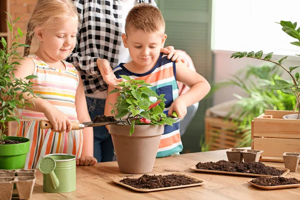 Young Family Setting Out Plants Home — Stock Photo, Image