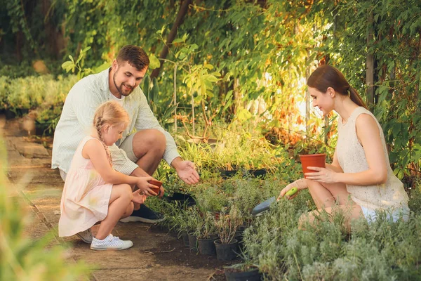 Familia Joven Trabajando Jardín — Foto de Stock