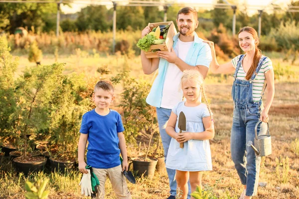 Young Family Harvest Garden — Stock Photo, Image