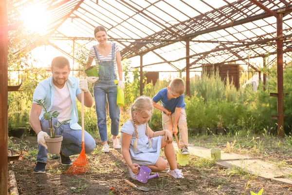Familia Joven Trabajando Jardín — Foto de Stock