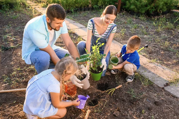 Young Family Working Garden — Stock Photo, Image