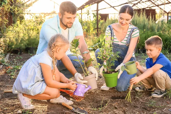 Young Family Working Garden — Stock Photo, Image