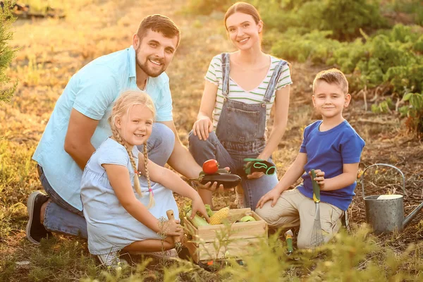 Young Family Harvest Garden — Stock Photo, Image