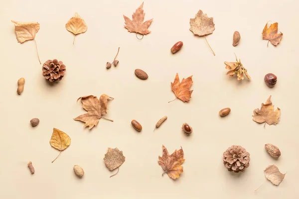 Hermosa Composición Otoñal Sobre Fondo Claro — Foto de Stock