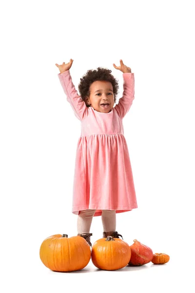 Schattig Afrikaans Amerikaans Baby Meisje Met Pompoenen Witte Achtergrond — Stockfoto