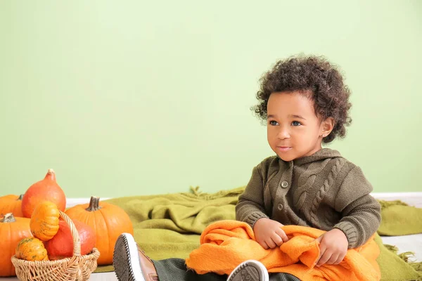 Linda Niña Afroamericana Con Calabazas Sentadas Suelo Cerca Pared Color — Foto de Stock