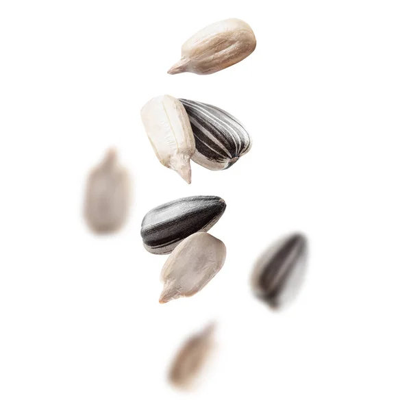 Flying Sunflower Seeds White Background — Stock Photo, Image