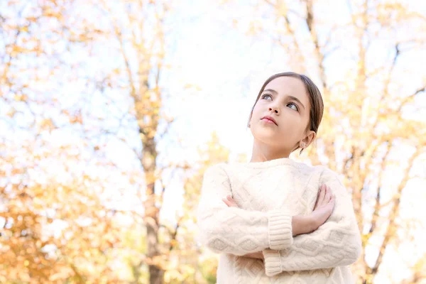 Cute Little Girl Autumn Park — Stock Photo, Image