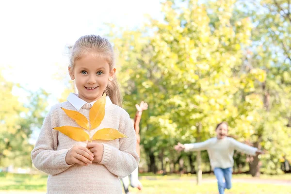 Cute Little Girl Autumn Park — Stock Photo, Image