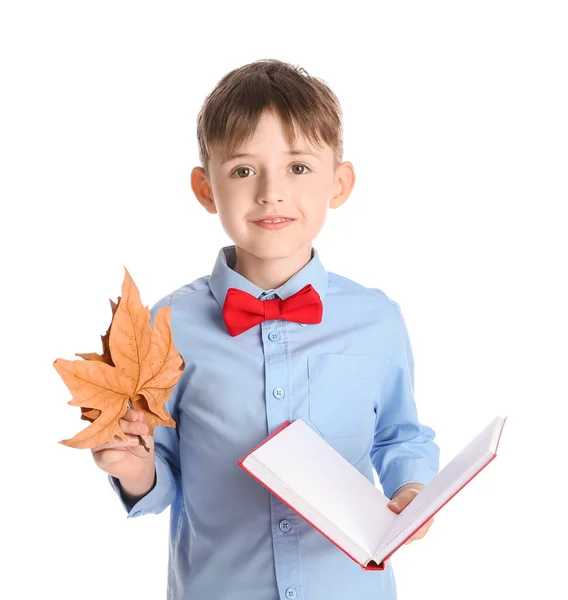 Mignon Petit Garçon Avec Feuille Automne Livre Sur Fond Blanc — Photo