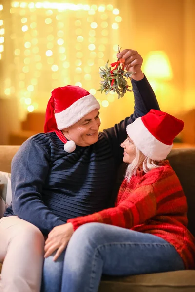 Mature Couple Mistletoe Branch Home Christmas Eve — Stock Photo, Image