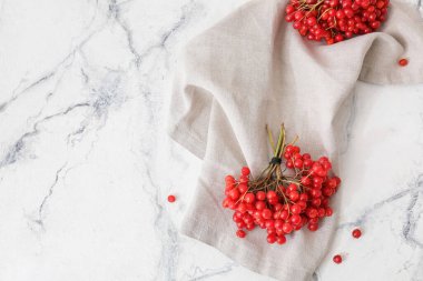 Beyaz arka planda taze viburnum çilekleri