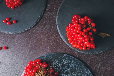 Koyu arkaplanda taze viburnum üzümü