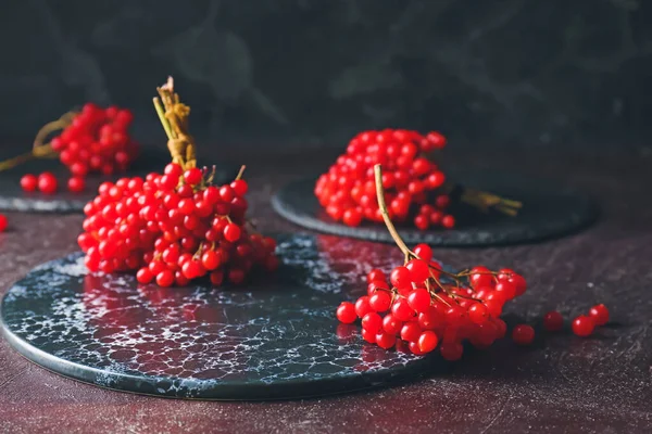 Fresh Viburnum Berries Dark Background — Stock Photo, Image