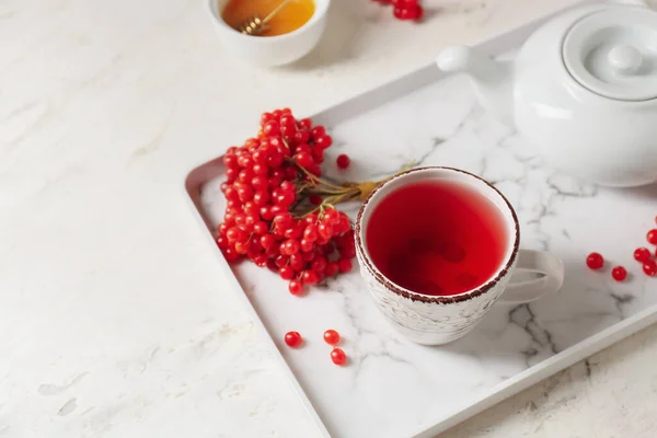 Cup Healthy Viburnum Tea Table — Stock Photo, Image