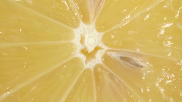 Rotating Cut Fresh Lemon Closeup — Αρχείο Βίντεο