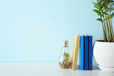 Kitaplar, ev bitkisi ve dekorasyon renkli duvarın yanındaki masada.