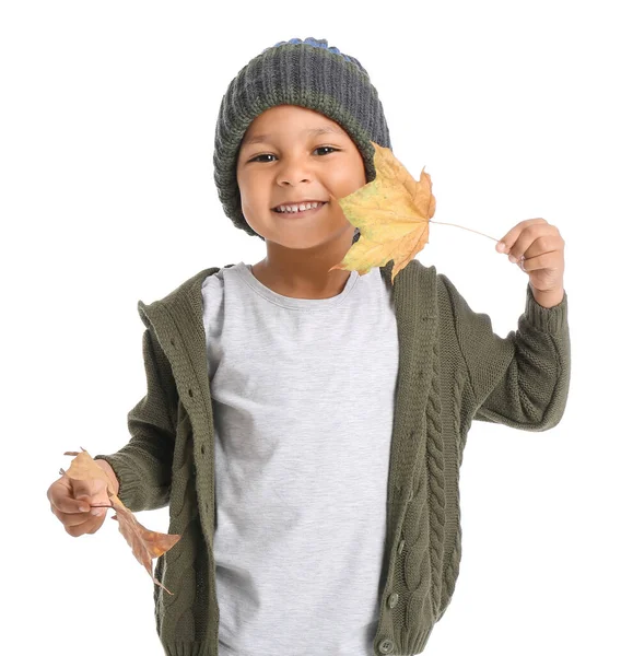 Cute African American Boy Autumn Leaves White Background — Stock Photo, Image