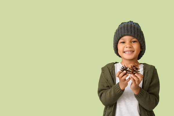 Cute African American Boy Coniferous Cones Color Background — Stock Photo, Image