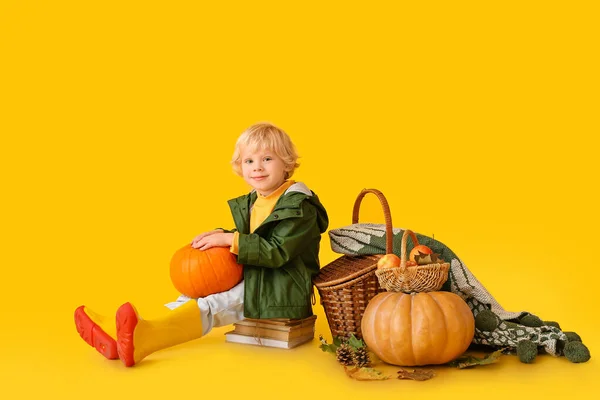 Lindo Niño Con Cosecha Otoño Fondo Color — Foto de Stock