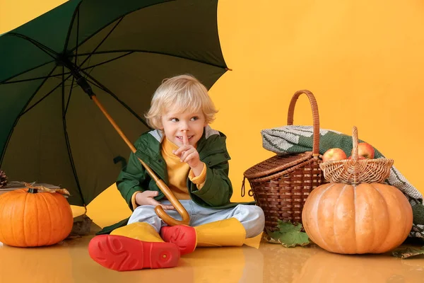 傘と秋の収穫とかわいい男の子は 色の背景に ジェスチャーを示しています — ストック写真