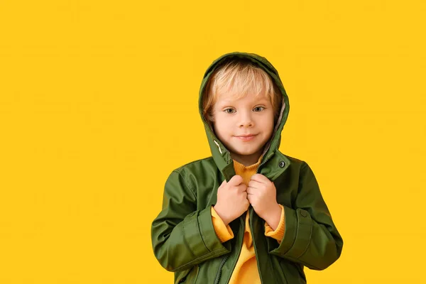 Söt Liten Pojke Höst Kläder Färg Bakgrund — Stockfoto