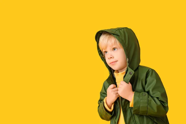 Lindo Niño Ropa Otoño Sobre Fondo Color — Foto de Stock