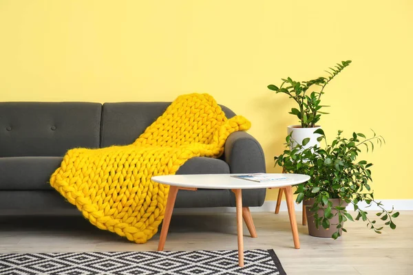 Interieur Van Moderne Kamer Met Bank Tafel Gebreide Ruitjes — Stockfoto