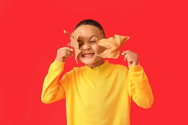 Mignon Garçon Afro Américain Avec Des Feuilles Automne Sur Fond — Photo