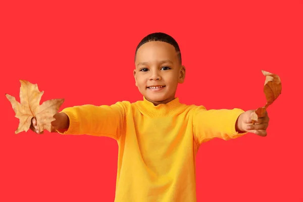 Mignon Garçon Afro Américain Avec Des Feuilles Automne Sur Fond — Photo