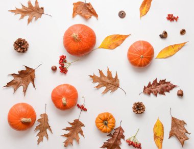 Beyaz arkaplanda güzel sonbahar kompozisyonu