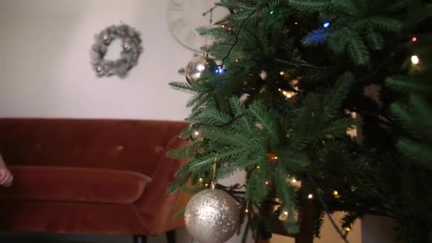 Little Baby Boy Christmas Tree Home — Stock Video