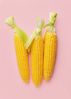 Renkli arkaplanda taze mısır koçanları